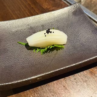 Squid